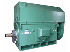 金塔Y系列6KV高压电机